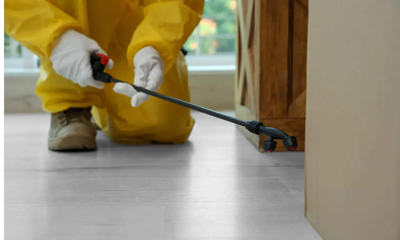 commercial pest control temecula